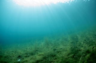 「無題」のサムネイル画像