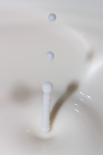 「無題」のサムネイル画像