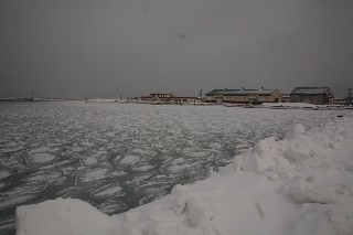 「無題」のサムネイル画像