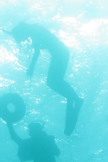 「無題」のサムネイル画像