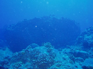 「無題」のサムネイル画像