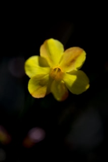 「無題」のサムネイル画像