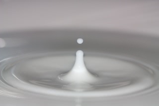 「無題」のサムネイル画像