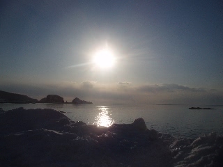 「無題」のサムネイル画像