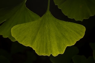 「無題」のサムネイル画像