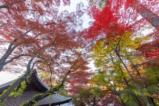 「無題」のサムネイル画像