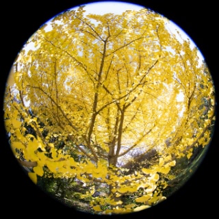 「無題」のサムネイル画像