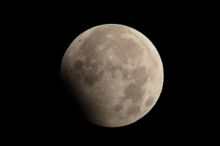 「無題」のサムネイル画像