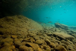 「無題」のサムネイル画像
