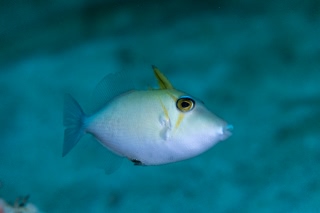 「無題」のサムネイル画像