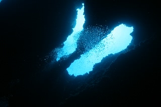 「無題」のサムネイル画像