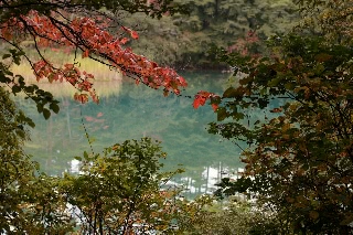 「弁天沼」のサムネイル画像