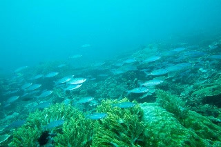 「無題」のサムネイル画像