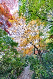 「無題」のサムネイル画像