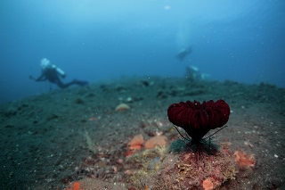 「無題」のサムネイル画像
