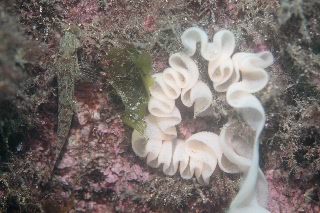 「無題」のサムネイル画像