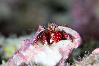 「無題」のサムネイル画像