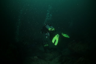 「無題」のサムネイル画像