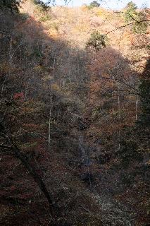 「無題」のサムネイル画像