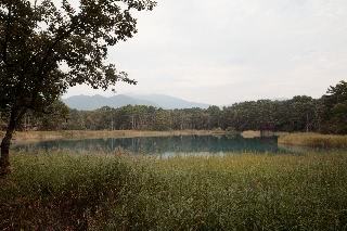 「弁天沼」のサムネイル画像