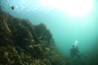 「無題」のサムネイル画像