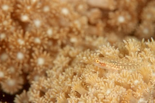 「無題」のサムネイル画像