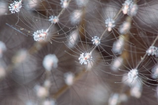 「無題」のサムネイル画像