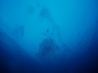 「泡」のサムネイル画像