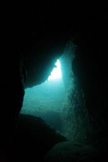 「無題」のサムネイル画像