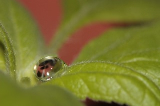 「無題」のサムネイル画像