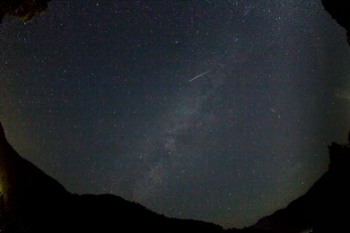 「無題」のサムネイル画像