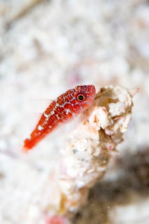 「無題」のサムネイル画像