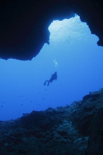 「無題」のサムネイル画像