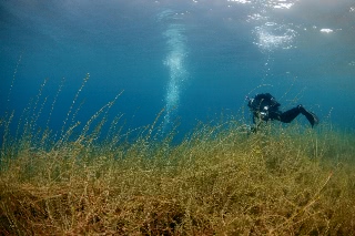「無題」のサムネイル画像