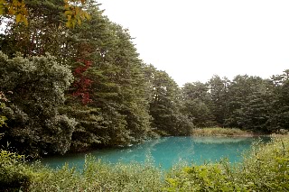 「青沼」のサムネイル画像