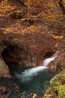 「母胎渕」のサムネイル画像