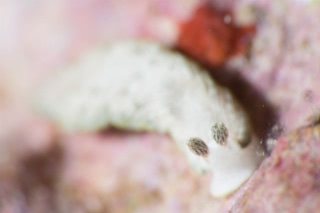 「無題」のサムネイル画像