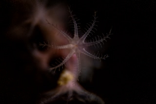 「無題」のサムネイル画像