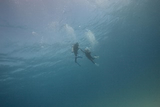 「あららっ 浮いていってしまった」のサムネイル画像