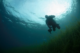 「無題」のサムネイル画像