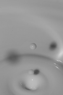 「無題」のサムネイル画像