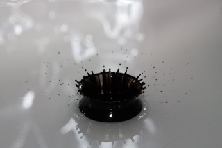 「ゼブラクラウン」のサムネイル画像