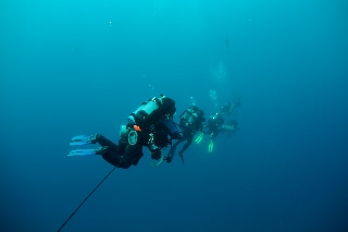 「無題」のサムネイル画像