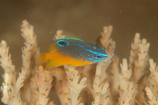 「無題」のサムネイル画像