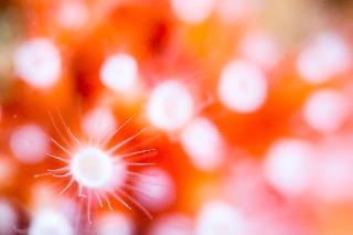 「無題」のサムネイル画像