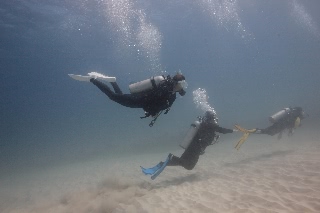 「マークされてます」のサムネイル画像