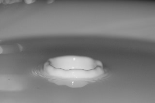 「無題」のサムネイル画像