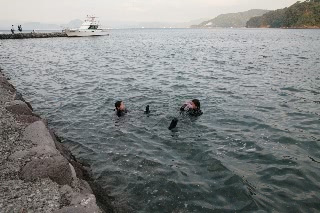 「無題」のサムネイル画像