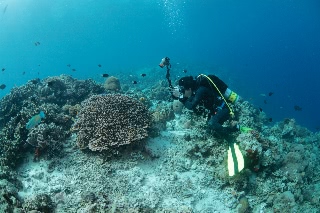 「無題」のサムネイル画像