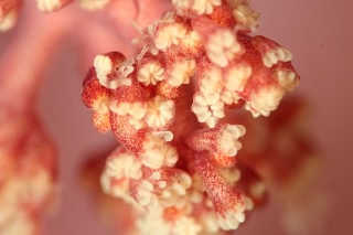 「無題」のサムネイル画像